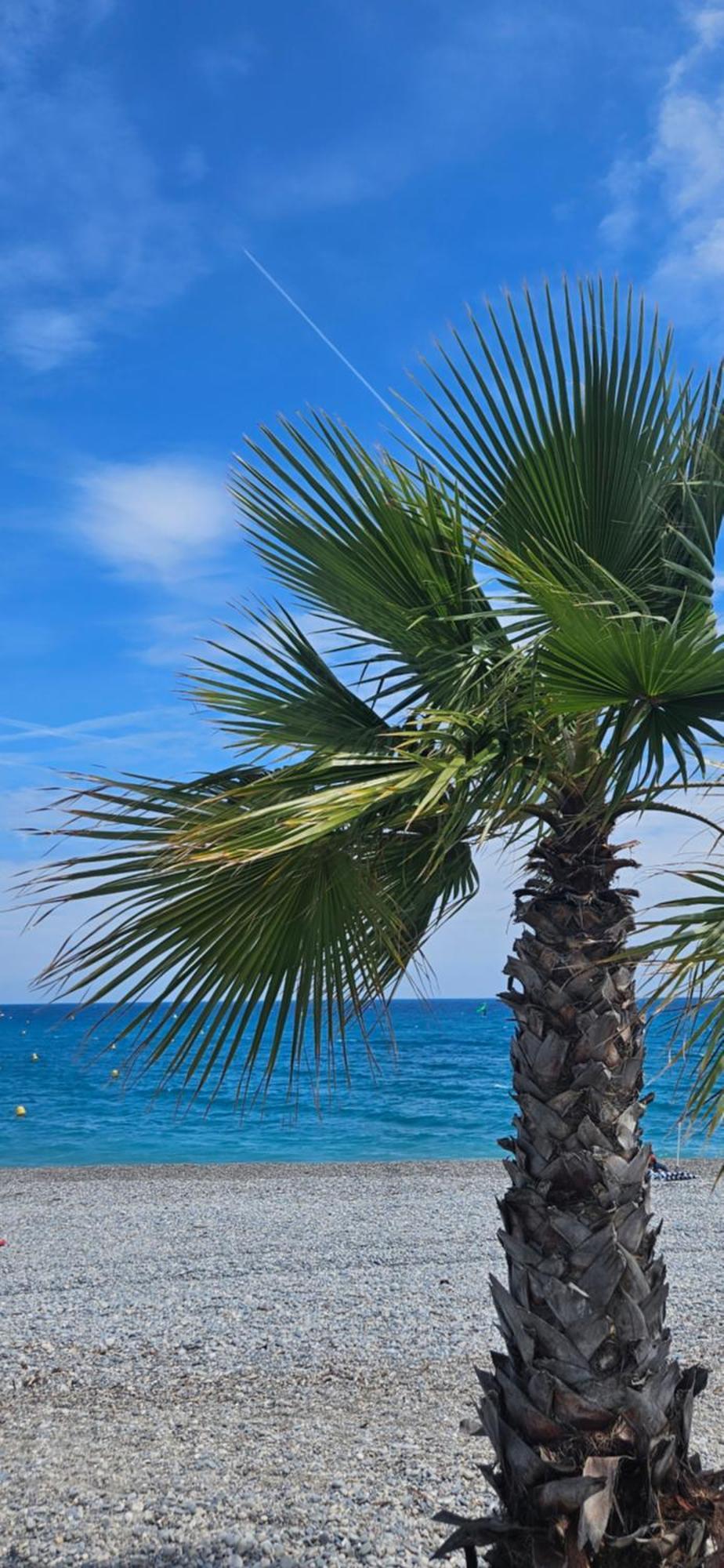 Studio Saint-Laurent-Du-Var Bord De Mer מראה חיצוני תמונה